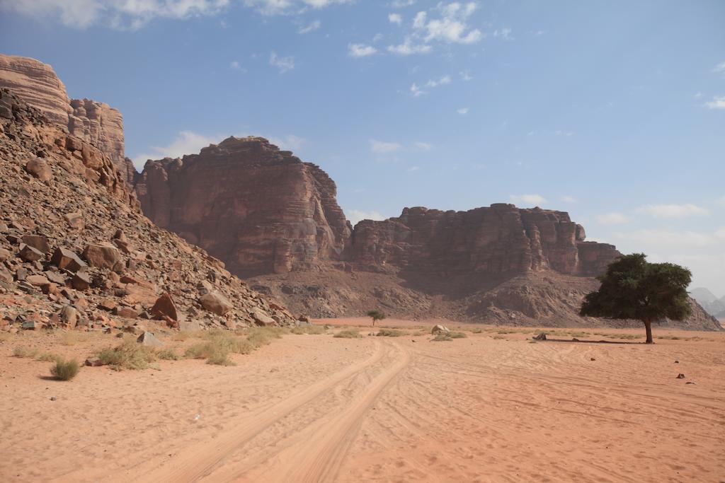 וואדי רם Bedouin Expedition מראה חיצוני תמונה
