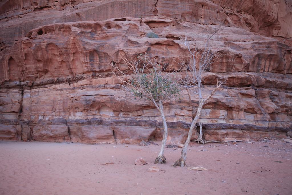 וואדי רם Bedouin Expedition מראה חיצוני תמונה