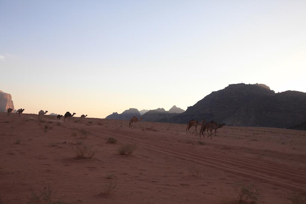 וואדי רם Bedouin Expedition מראה חיצוני תמונה