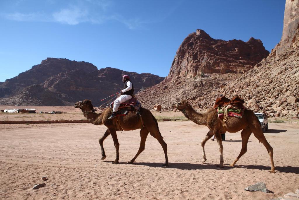 וואדי רם Bedouin Expedition מראה חיצוני תמונה