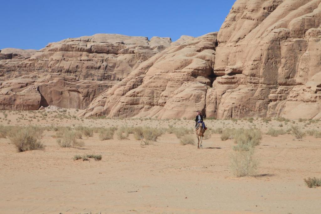 וואדי רם Bedouin Expedition מראה חיצוני תמונה