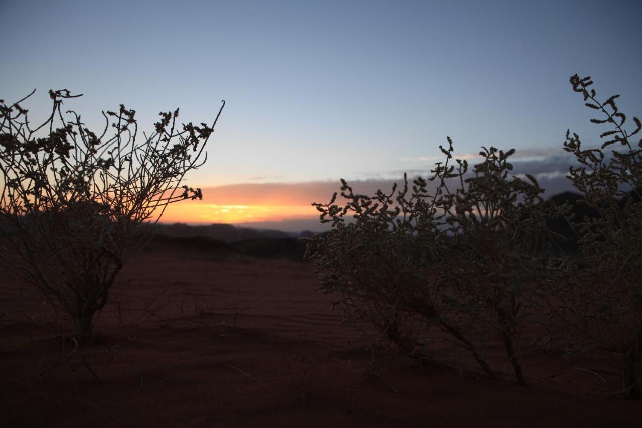 וואדי רם Bedouin Expedition מראה חיצוני תמונה