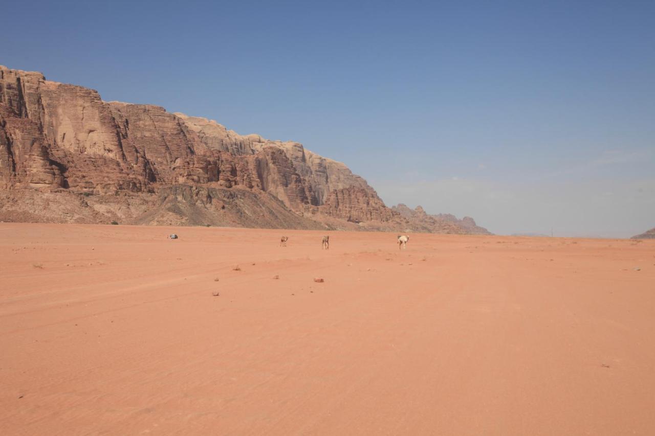 וואדי רם Bedouin Expedition מראה חיצוני תמונה